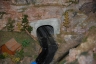 NTS 2011 Z