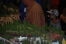 NTS 2011 Z