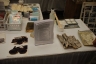 NTS 2011 Z