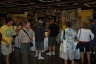 NTS 2011 Z