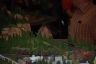 NTS 2011 Z