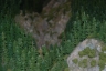 NTS 2011