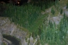 NTS 2011