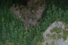 NTS 2011