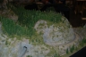 NTS 2011