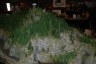 NTS 2011