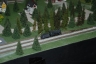 NTS 2011 Z