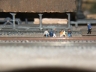 Modules and Layouts