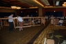 NZSC - 2012