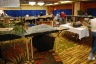 NZSC - 2012