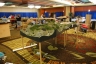 NZSC - 2012