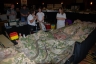 NZSC - 2012
