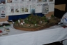 NZSC - 2012