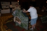 NZSC - 2012