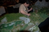 NZSC - 2012